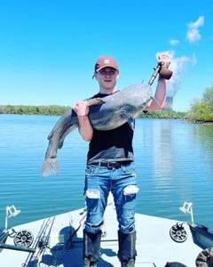 Catfish fishing in Tennessee River 