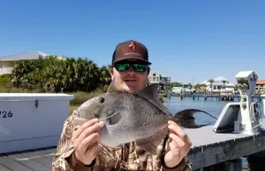 Inshore Fishing Destin: Premier Bay Charters with MyChance Charte