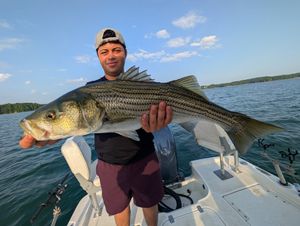Summer Striper Fishing Is Heating Up On Lake Lanier