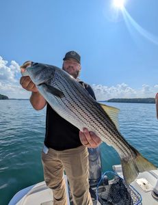 Afternoon trip from 1pm till 6pm.