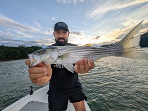 Smash fest on Lake Lanier 