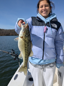 Thrilling Lake Lanier Fishing Adventure: Rods Bending, Smiles Abounding
