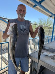 Different conditions still led to nonstop action, with May dates still available to book.