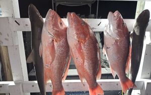 Fall Fishing Heats Up Near Panama City