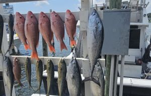 Catch the Action: What’s Biting in Panama City Waters