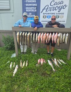 No Wind but you change plans