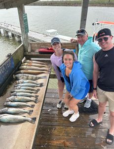 Afternoon Extravaganza 