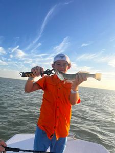 Inshore Fishing Texas, Trout tales 