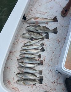 "Tranquil Afternoon on the Water: A Fishing Expedition with Cristina"