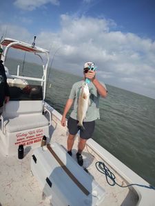 Spring Redfish Success: Father and Son Team Scores with Today We Fish
