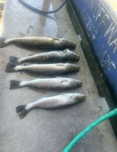 Fun day with a great group