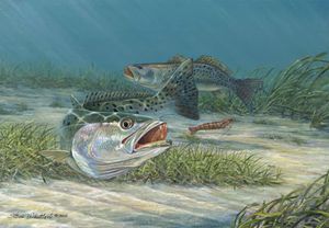 Thrill Ride: 5-Hour Fishing Excursion in South Padre Island