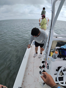 Spring Bay Fishing: Redfish & Speckled Trout with Today We Fish