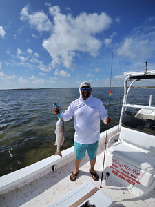 Speckled Trout & Redfish - Spring Bay Trip