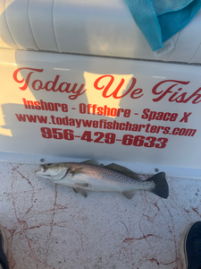 Hooked on Spotted Seatrout: An Unforgettable Day on the Water in South Padre Island
