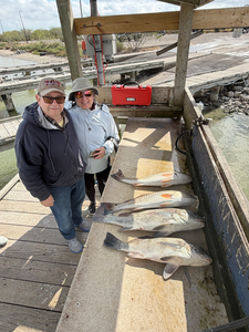 Winter Bay Fishing Success: Redfish & Black Drum with Today We Fish