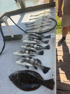 Dawn Bay Fishing: Cobia & Trout with Today We Fish Charter