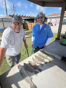 Fall Morning Bottom Fishing: Mangrove Snapper & Trout on Light Tackle
