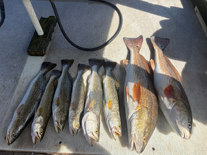 Morning Bay Redfish & Speckled Trout - Top-Rated Fall Charter