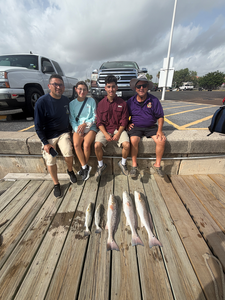 Summer Morning Bay Trip: Redfish & Speckled Trout Action