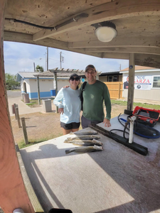 Spring Bay Fishing: Speckled Trout Action on Light Tackle