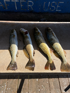 Fall Speckled Trout Success - Today We Fish AM Bay Charter Trip