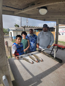 Spring Morning Speckled Trout Success - 3 Hour AM Quick Trip