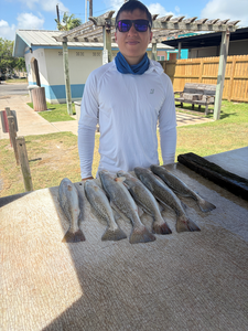 Sunset Speckled Trout Trip - Top-Rated 4-Hour Charter Adventure