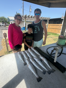 Top-Rated Morning Bay Trip: Speckled Trout Action at Dawn