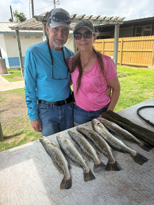 Spring Bay Speckled Trout Action - 5 Hour Charter Success Story