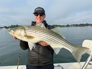 12 hits, and 4 Fish Landed
