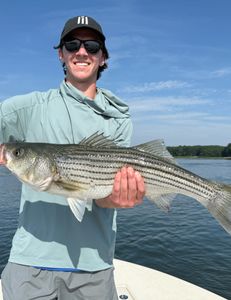 Portsmouth NH Striper Success: Two 28-in Striped Bass Caught on Fish Taco Charter