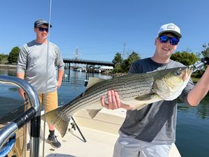 Big Fat 36-incher