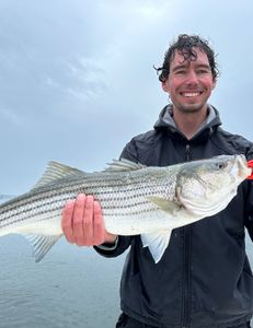 Big bite in the rain 