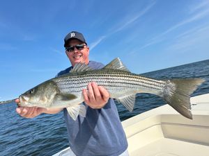 Stipers off the beach and in the river