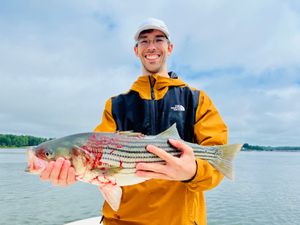 The River is Full of Bait