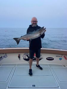Hot salmon bite Michigan charter action