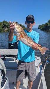 4 Hours Fishing Charters in Tampa