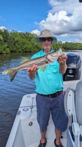 8 Hours Snook Fishing Fl
