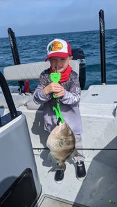 Tampa Bay's Fishing Bounty