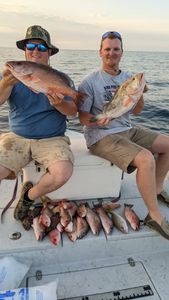 Tampa's Premier Fishing Experience