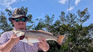 Redfish, Snook, and Summer Bites Heat Up Tampa Bay Waters
