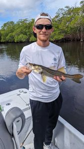 Guided fishing charters Tampa Bay 