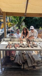 Steady Bites and Solid Action Across Tampa Bay