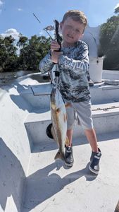 The best little fisherman I know. Redfish 
