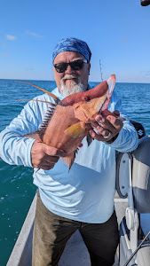 Hogfish delight offshore Tampa Bay 