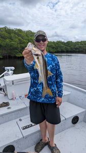 8 Hours Fishing Charters Tampa FL
