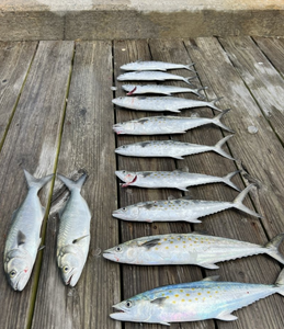 Morehead City Fishing
