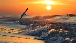 Things To Do In Port Canaveral