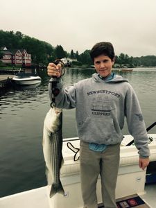 Nice Striped Bass from Merrimack River Fishing